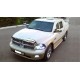 Пороги с площадкой алюминиевый лист для Dodge RAM 2001-2021
