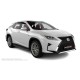 Пороги алюминиевые в полоску для Lexus RX-300 2015-2019