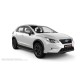 Пороги алюминиевые в полоску для Subaru XV 2017-2024