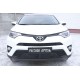 Защитная сетка решетки переднего бампера Русская артель для Toyota RAV4 2015-2019