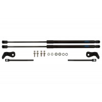 Упоры капота Arbori 2 шт для Ford Focus 2005-2011