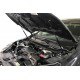 Упоры капота Arbori 2 шт для Ford Mondeo 2007-2010