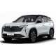 Тюнинг решётки радиатора Geely Atlas 2023-2024