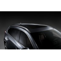 Рейлинги OEM серебристые для Mazda CX-9 2017-2024