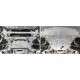 Защита картера Rival алюминий 4 мм для BMW X5/X6 2013-2019