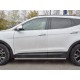 Пороги труба 42 мм вариант 3 для Hyundai Santa Fe 2015-2018 артикул HSFPT-002450