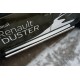 Пороги труба 63 мм вариант 1 для Renault Duster 2015-2021 артикул RDT-0021801