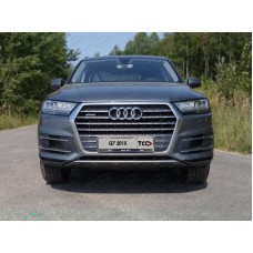 Рамка номерного знака Audi Q7 (комплект) для  Любые