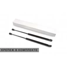 Упоры капота Autofamily 2 шт для Kia Ceed № AFHDKIACD182