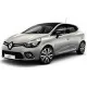 Тюнинг решетки радиатора Renault Clio