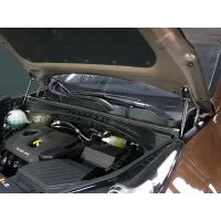 Упор капота ТСС комплект для Kia Sportage 2019-2024
