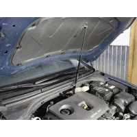Упор капота ТСС для Hyundai Elantra 2015-2018